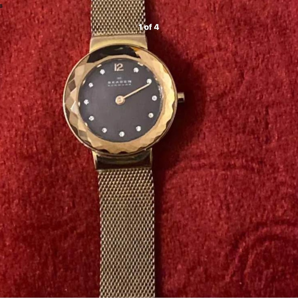 Skagen Gold Mesh Watch with Black Dial